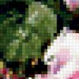 Предпросмотр схемы вышивки «Прекрасные розы от Лонгре 3» (№179010)