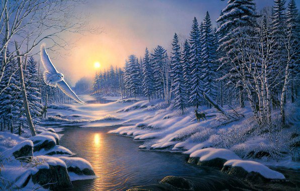белая сова на закате - зима, ночь, ели, сова, пейзаж, деревья, закат, вечер, река - оригинал