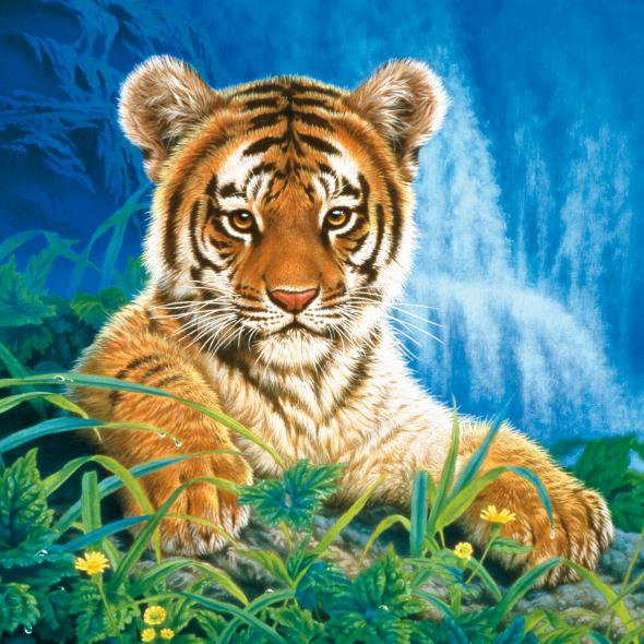 тигренок - тигры, животные, кошки, плдушка, хищники, тигр, природа - оригинал