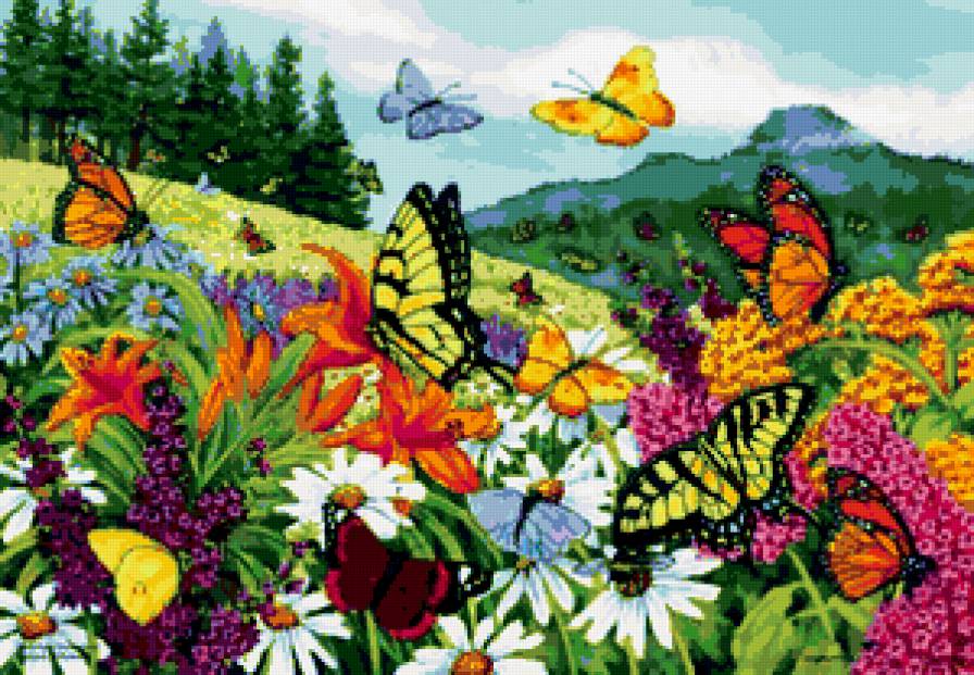 картина - ромашки, насекомые, бабочки, пол, бабочка, цветы, природа, лилии, пейзаж - предпросмотр