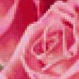 Предпросмотр схемы вышивки «розы» (№179778)