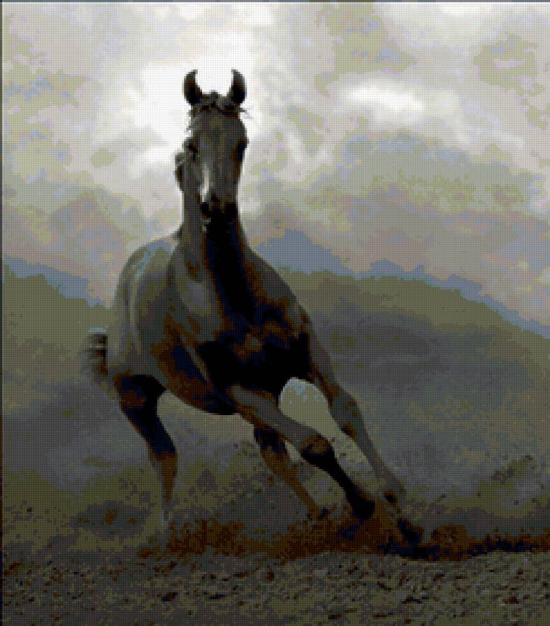 №179872 - кони, конь, черный, жеребец, лошади - предпросмотр