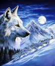 Лунный волк - животные, волки, луна, ночь - оригинал