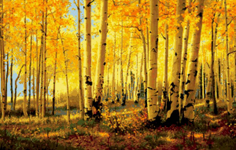 золотая осень - осень, листья, пейзаж, деревья, березы - предпросмотр