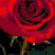 Предпросмотр схемы вышивки «Троянди» (№181198)