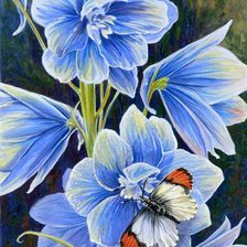 Оригинал схемы вышивки «Бабочка и цветы» (№181867)