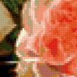 Предпросмотр схемы вышивки «Букет роз» (№182055)