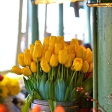 Оригинал схемы вышивки «Желтые тюльпаны» (№182782)