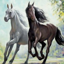 Лошади