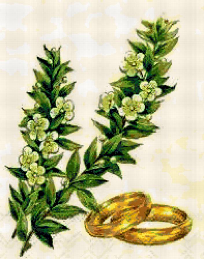 Свадебная вышивка - свадебная вышивка, любовь, свадьба, кольца, цветы - предпросмотр