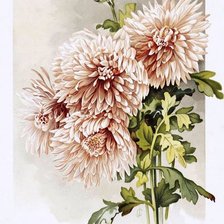 Оригинал схемы вышивки «цветы» (№183497)