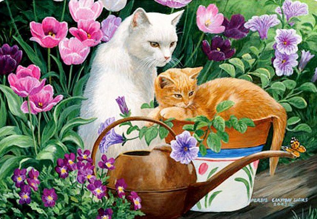 Кошечка с цветами - цветы, кошки в цветах, животные, кот, тюльпаны, кошка - оригинал