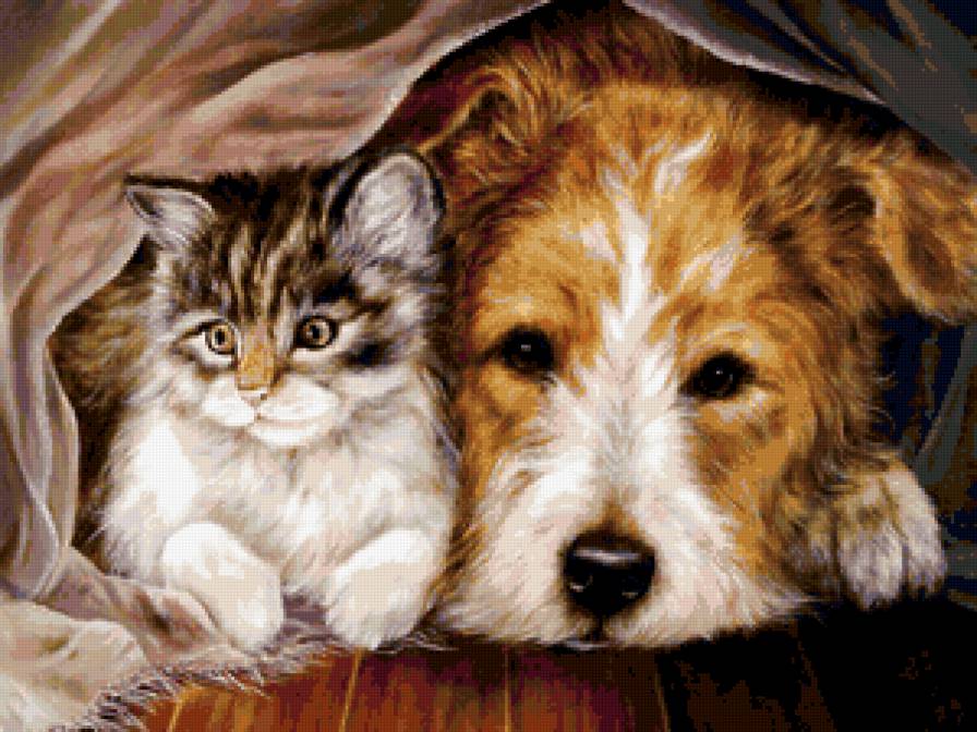Друзья - собаки, кошки, животные, картина - предпросмотр