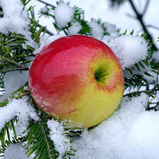 Оригинал схемы вышивки «новогоднее яблоко» (№184881)