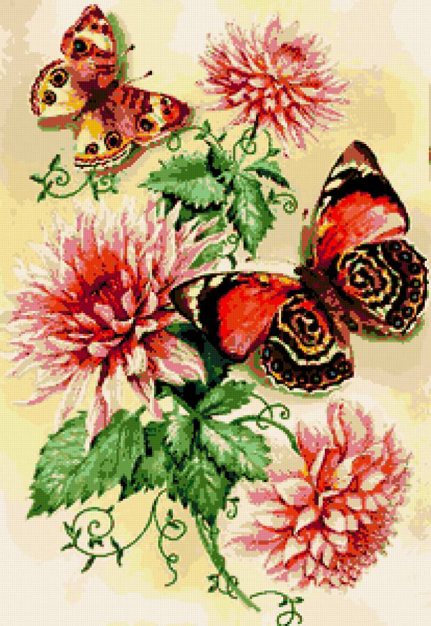 Цветы и бабочки - бабочка, бабочки, красота, цветы, хризантемы, хризантема, цветок - предпросмотр