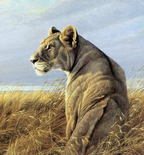 Львица - живопись, кошки, картина, анималисты, львы, дикие хищные кошки - оригинал