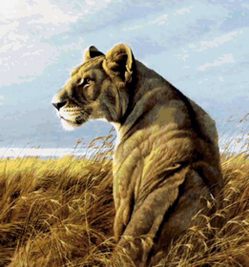 Львица - львы, анималисты, дикие хищные кошки, живопись, картина, кошки - предпросмотр