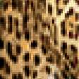 Предпросмотр схемы вышивки «Леопард в джунглях» (№185774)