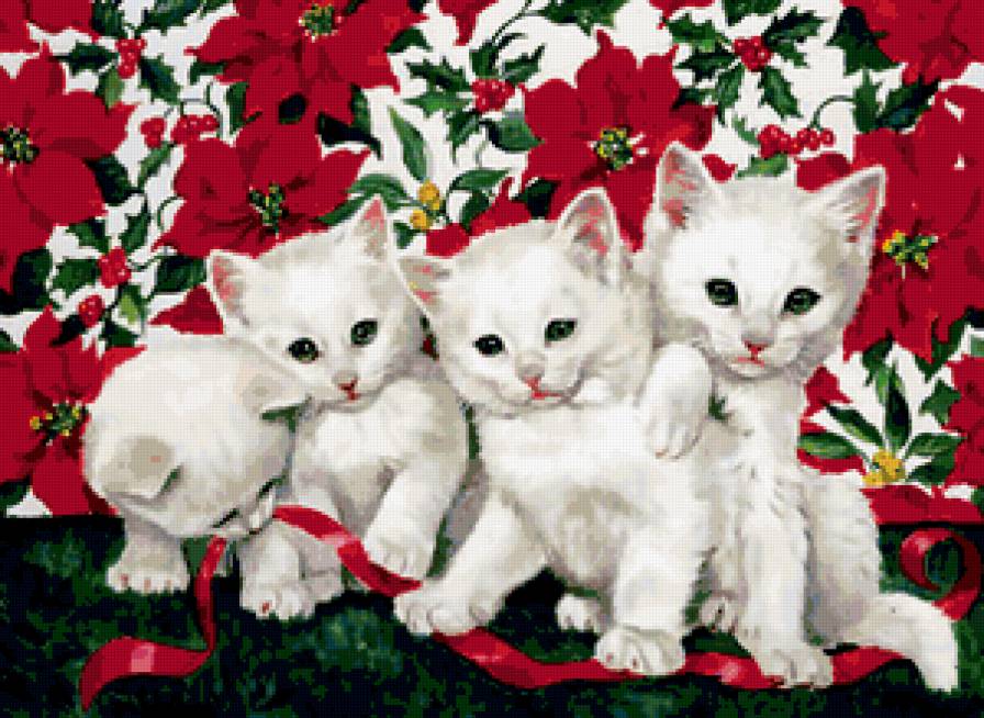 Коты - кот, цветы - предпросмотр