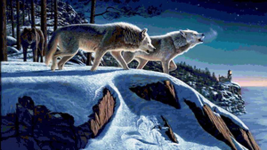 Волчья стая - животные, пейзаж, волки, зима, природа - предпросмотр