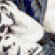 Предпросмотр схемы вышивки «Белые тигры» (№186675)