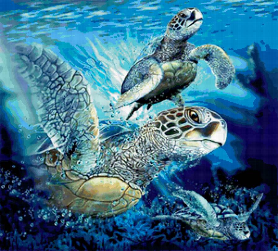 Черепахи - черепахи, подводный мир - предпросмотр