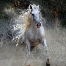 Оригинал схемы вышивки «красивый конь» (№188298)