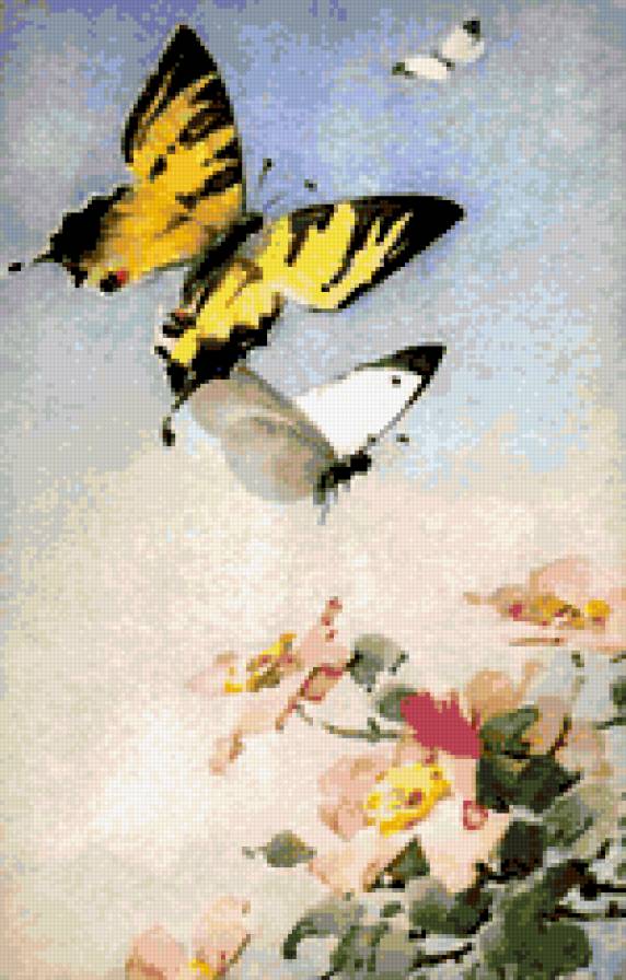 Бабочки - бабочки, цвет яблони - предпросмотр