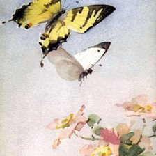 Оригинал схемы вышивки «Бабочки» (№188322)