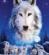 Оригинал схемы вышивки «волк» (№188451)