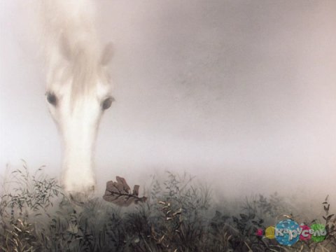 Лошадь в тумане 2 - лошадь, мультфильм, туман - оригинал