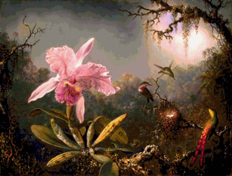 Орхидеи и колибри - природа, цветы, цвет, птицы, картина, колибри, пейзаж, орхидея - предпросмотр