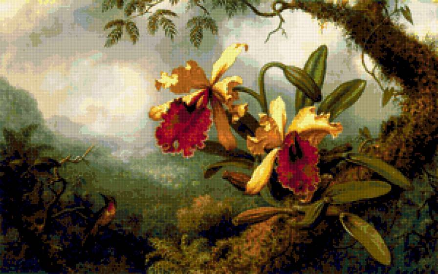 Орхидея - природа, пейзаж, орхидея, картина, цвет, цветы, птицы, колибри - предпросмотр