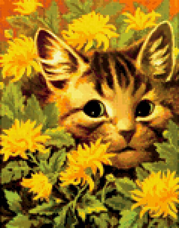 Солнечное приключение. - кот, картинка, кошка, цветы, животные, юмор - предпросмотр