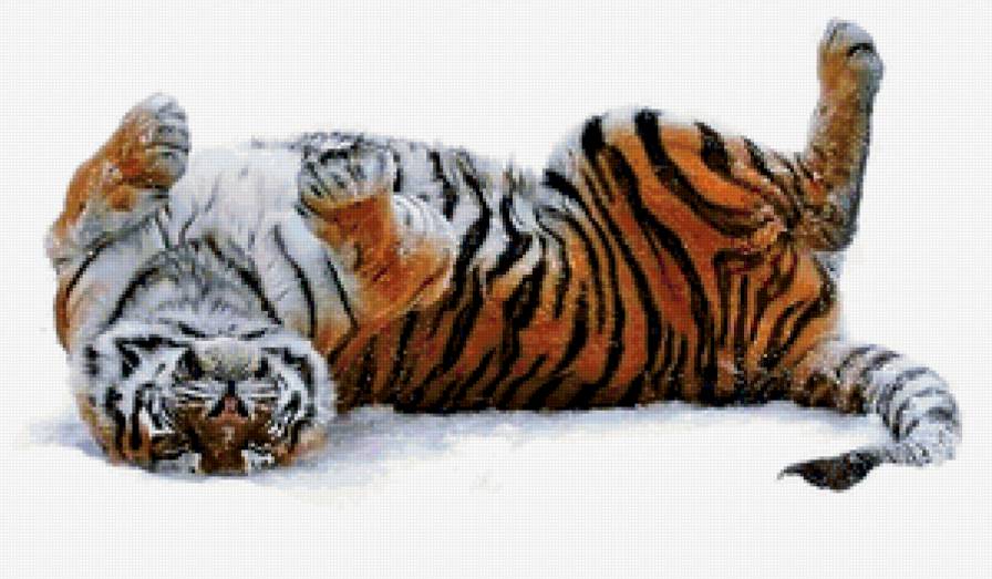 тигр - большие кошки, тигры, хищники - предпросмотр