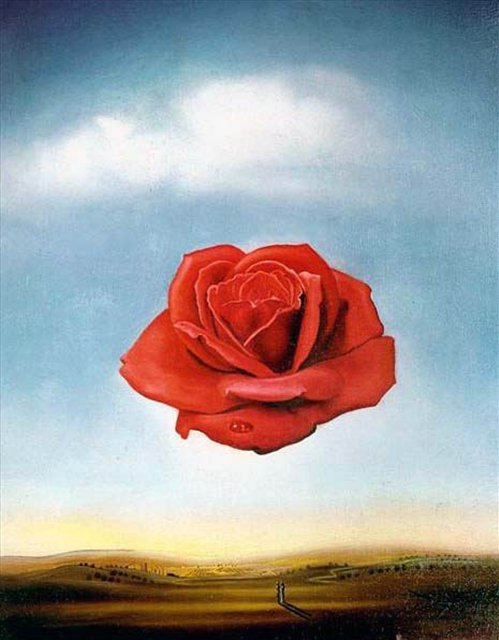 Медитативная роза - роза, дали, живопись - оригинал