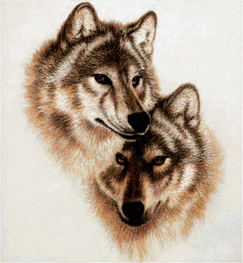 Волки - картина, животные, волки - предпросмотр