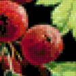 Предпросмотр схемы вышивки «ягодки» (№190581)