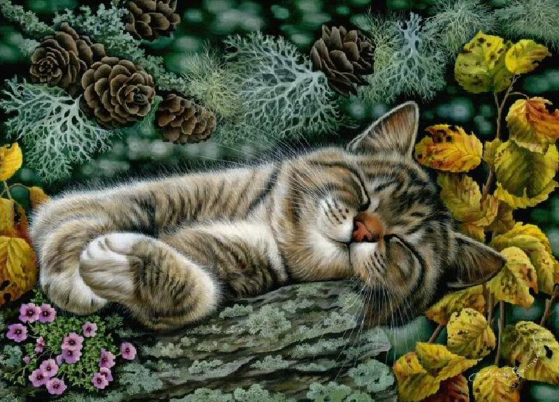 кошки -03 - цветы, домашние животные, картина, кошки, животные - оригинал