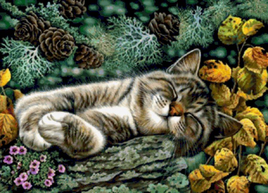 кошки -03 - животные, картина, цветы, домашние животные, кошки - предпросмотр