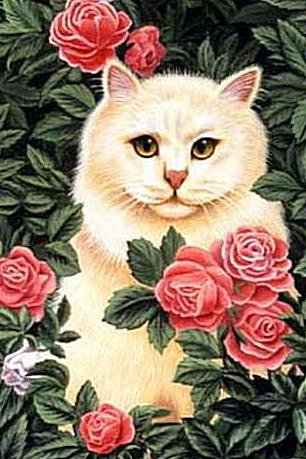 Кошечка в розах - розы, кошечка - оригинал