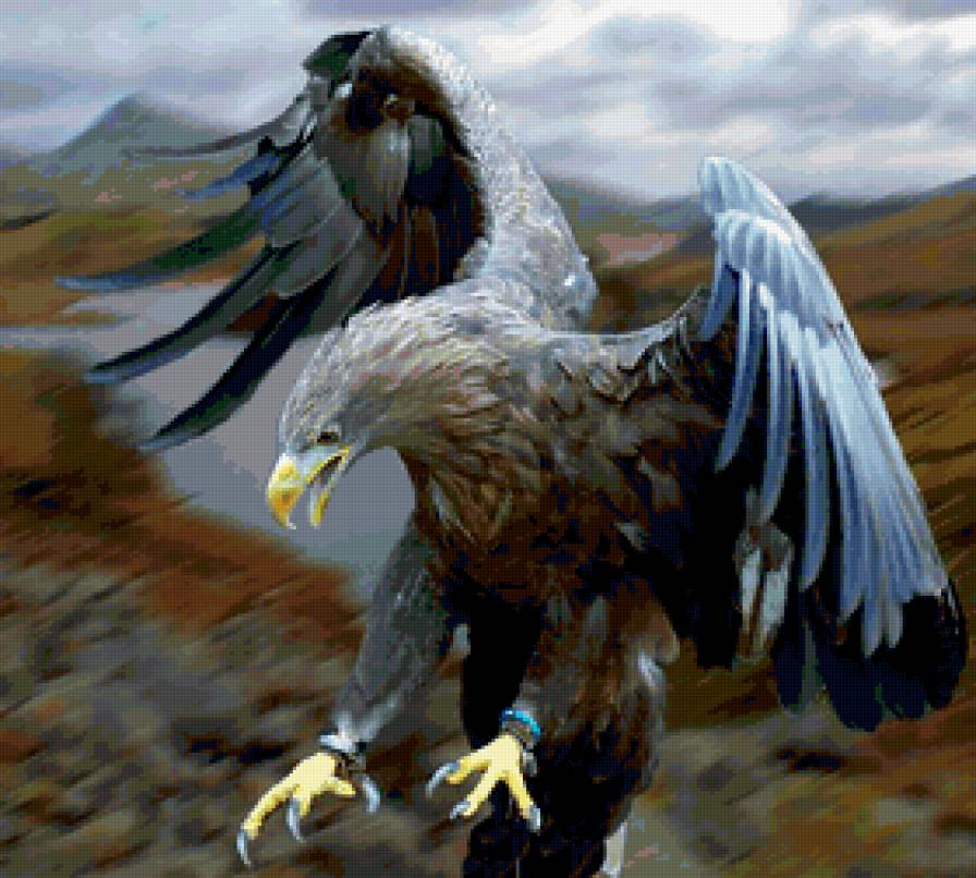 орел - орлы, коршун, хищные, большие птицы, горы, полет, орлица - предпросмотр