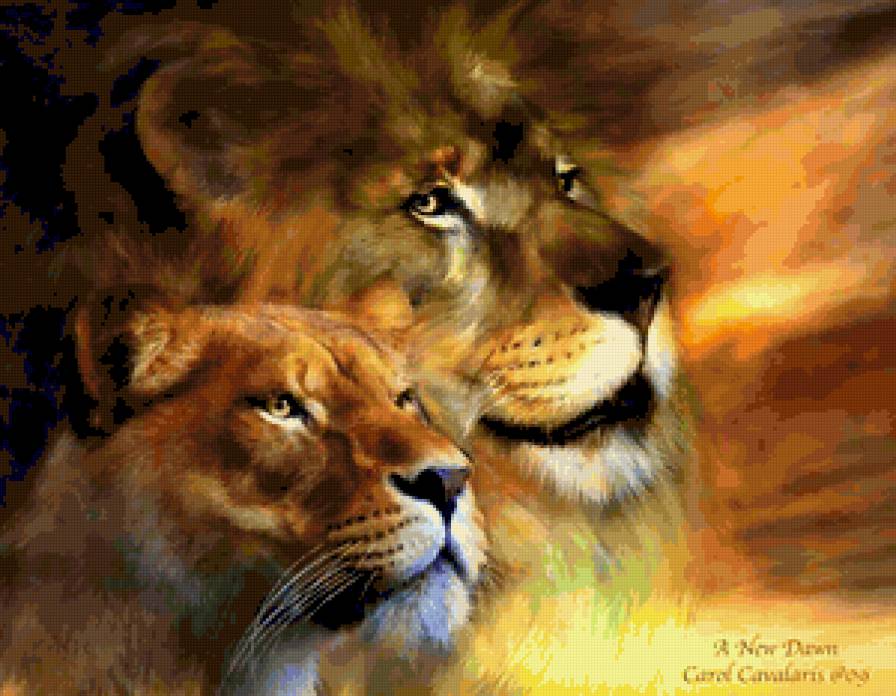 пара - лев, хищник, нежность, дикие кошки, животные, пара, львица, любовь - предпросмотр