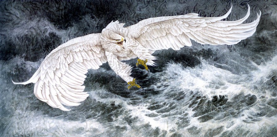 белый орел - полет, волны, большие птицы, шторм, хищные, орлы - оригинал