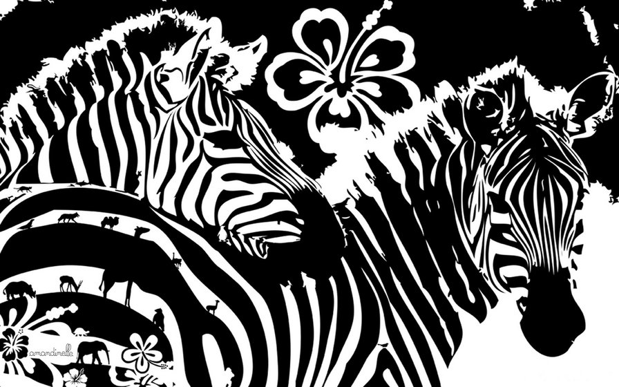 зебры - животные, зебра, черно-белое, мотив - оригинал