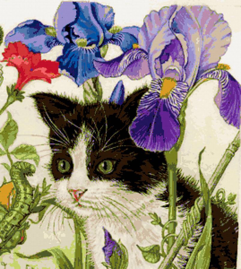 Кошки в цветах - ирисы, кошки в цветах, кошка, животные, кошки, цветы - предпросмотр