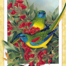 Оригинал схемы вышивки «яркие птицы» (№192372)