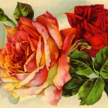 Оригинал схемы вышивки «Розы» (№192498)