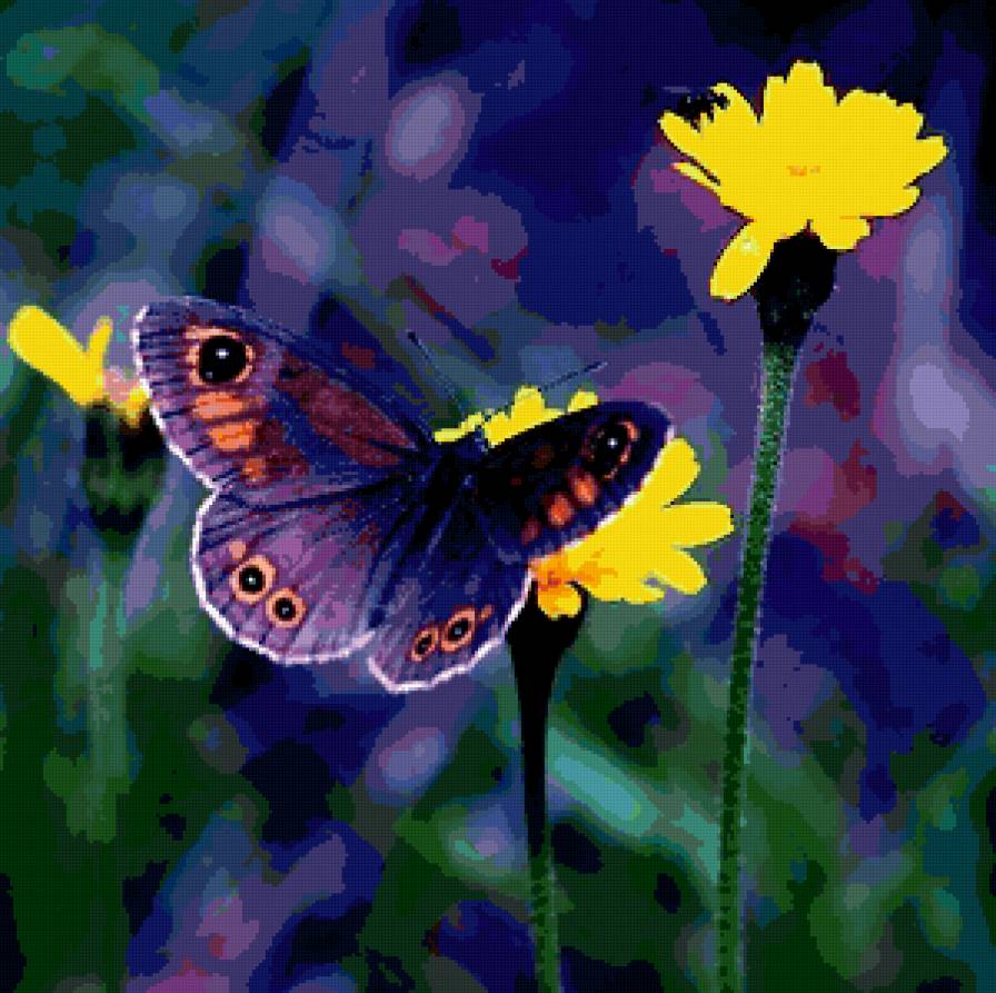 Бабочка - бабочка, цветок - предпросмотр