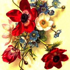 Оригинал схемы вышивки «Цветы» (№193255)